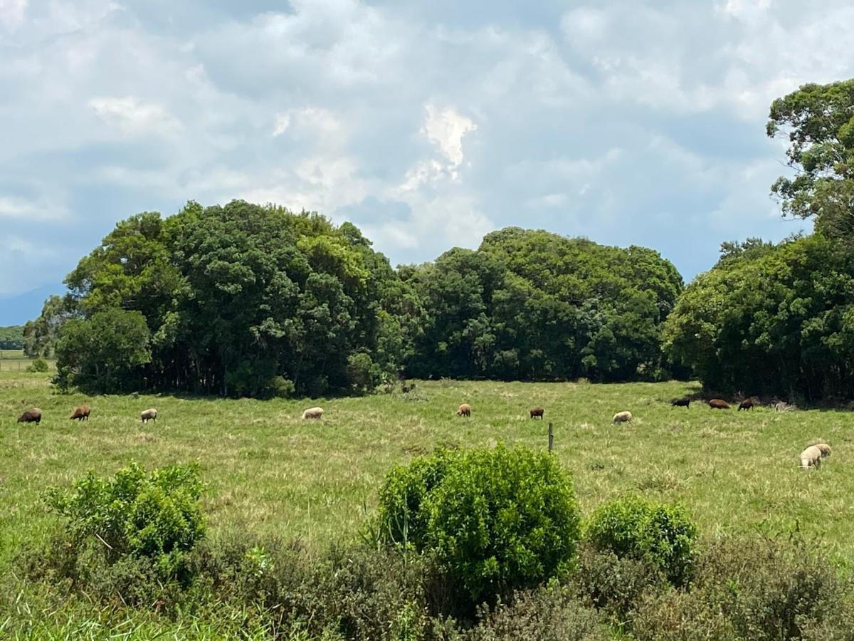 Haras Trevo De Ferro, Praia, Piscina E Campo Торес Екстериор снимка